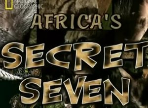 Africa-Sette animali segreti